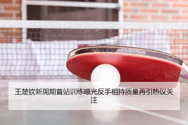 王楚钦新周期首站训练曝光反手相持质量再引热议关注